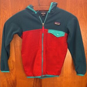 Patagonia Kids Micro T Snap Hooded Fleece